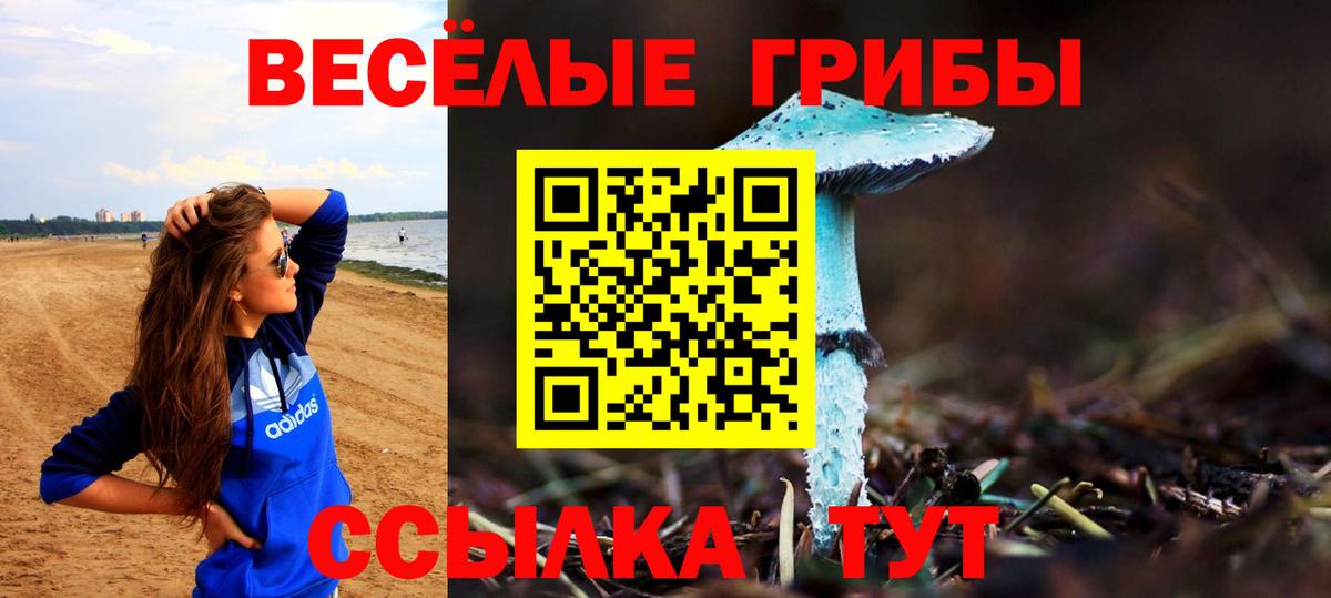 Великие Луки  Псилоцибиновые грибы мицелий  Вход с VPN 